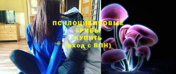 mdpv Богородск