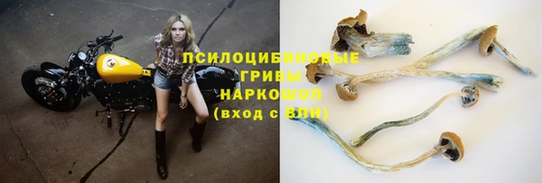 хмурый Богданович