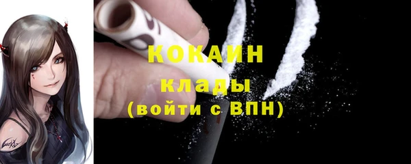 mdpv Богородск