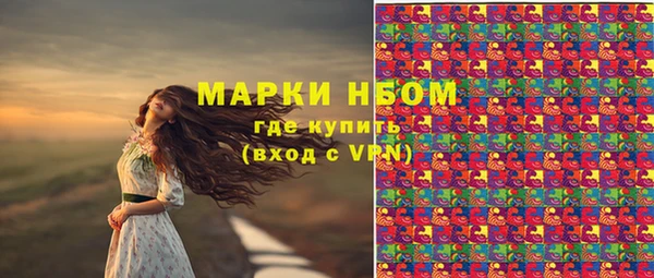 хмурый Богданович