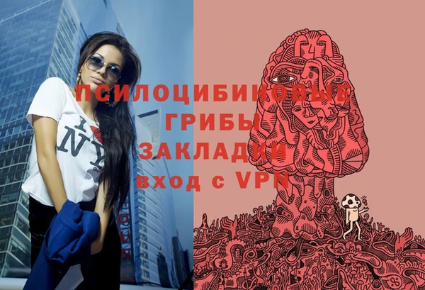 mdpv Богородск