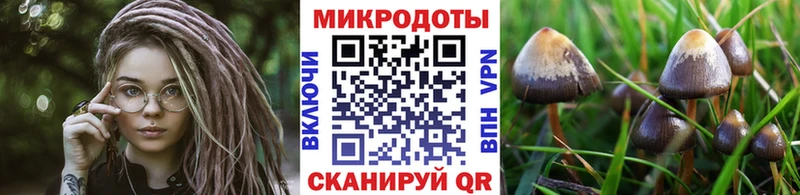 кракен рабочий сайт  дарнет шоп  Симферополь  Галлюциногенные грибы Psilocybe 